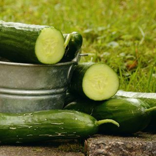can german shepherds eat cucumbers