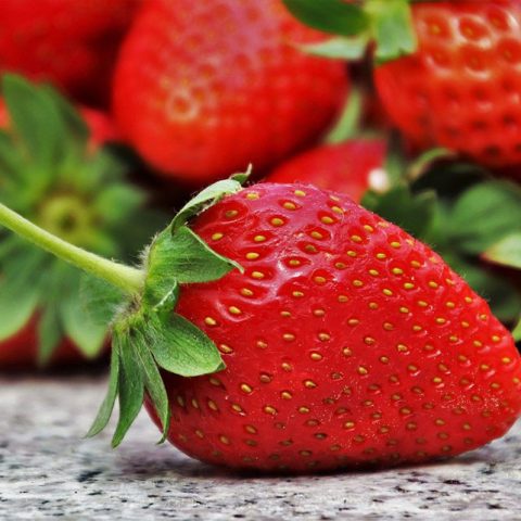 Can German Shepherds Eat Strawberries?