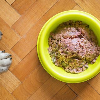 best wet food for german shepherds