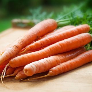 can german shepherds eat carrots