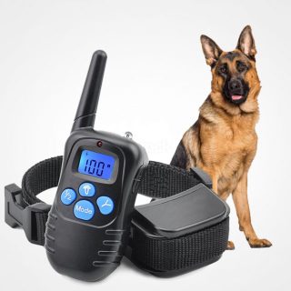 how to train a german shepherd with a shock collar