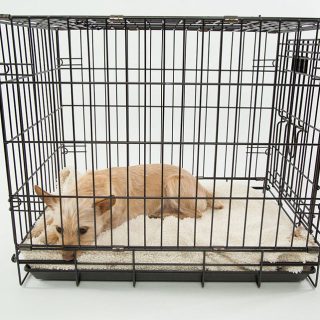is it good to start crate training a german shepherd puppy