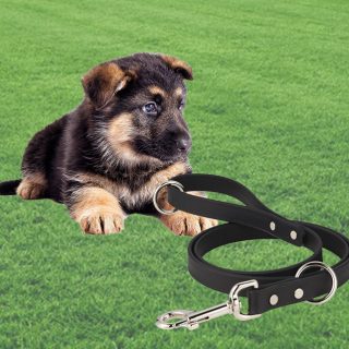 what size collar for german shepherd puppy