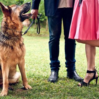 are german shepherds good family dogs