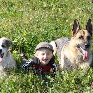are german shepherds good with kids