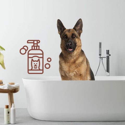 6 Best Puppy Shampoo For German Shepherds