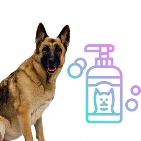 What Kind Of Shampoo Is Best For German Shepherds?