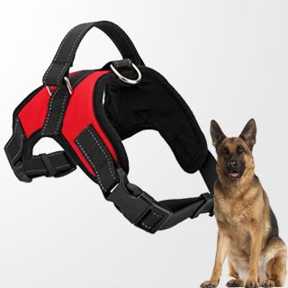harness or collar for german shepherd