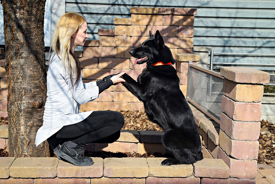 how to train a german shepherd puppy