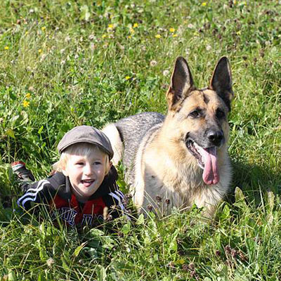 how to train a german shepherd puppy