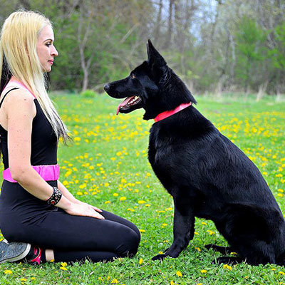 how to train a german shepherd puppy